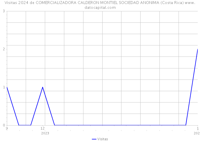 Visitas 2024 de COMERCIALIZADORA CALDERON MONTIEL SOCIEDAD ANONIMA (Costa Rica) 