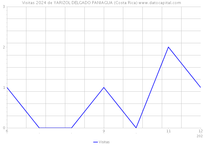 Visitas 2024 de YARIZOL DELGADO PANIAGUA (Costa Rica) 