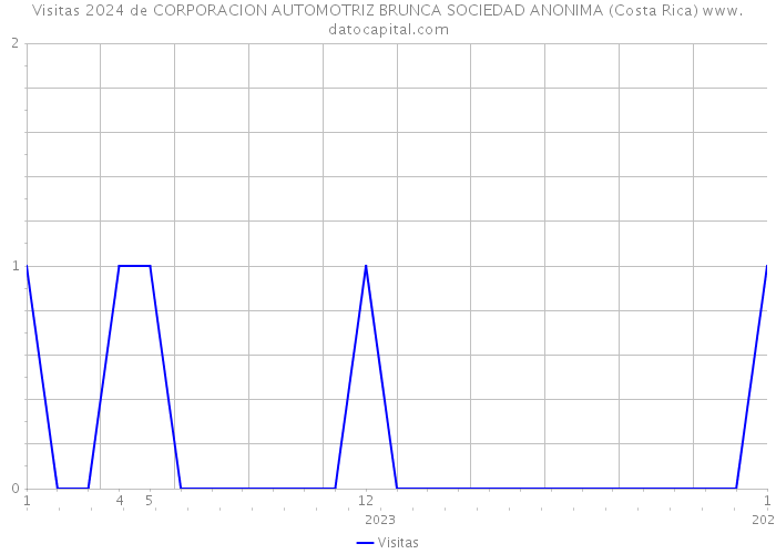 Visitas 2024 de CORPORACION AUTOMOTRIZ BRUNCA SOCIEDAD ANONIMA (Costa Rica) 
