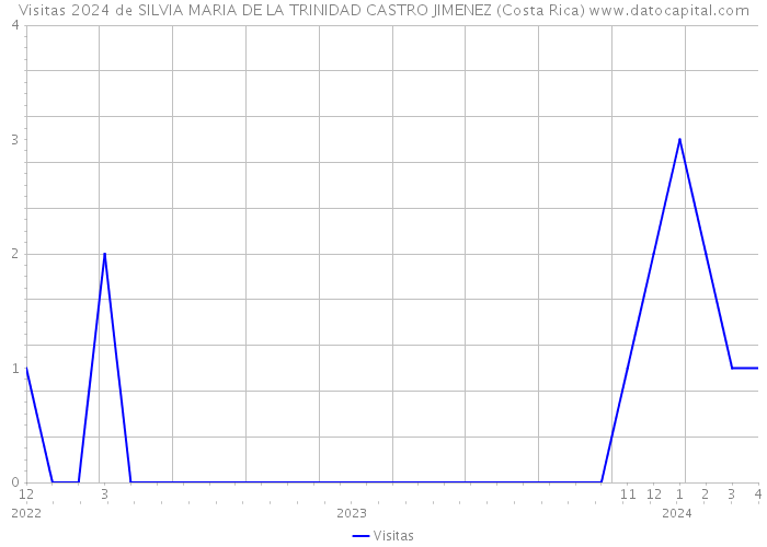 Visitas 2024 de SILVIA MARIA DE LA TRINIDAD CASTRO JIMENEZ (Costa Rica) 