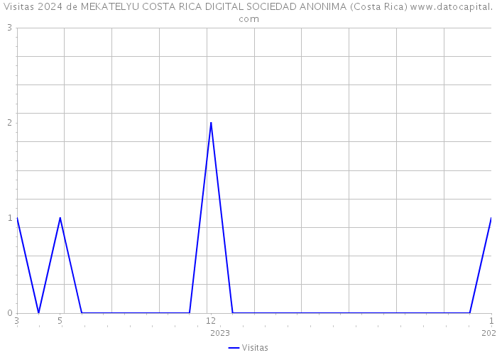 Visitas 2024 de MEKATELYU COSTA RICA DIGITAL SOCIEDAD ANONIMA (Costa Rica) 