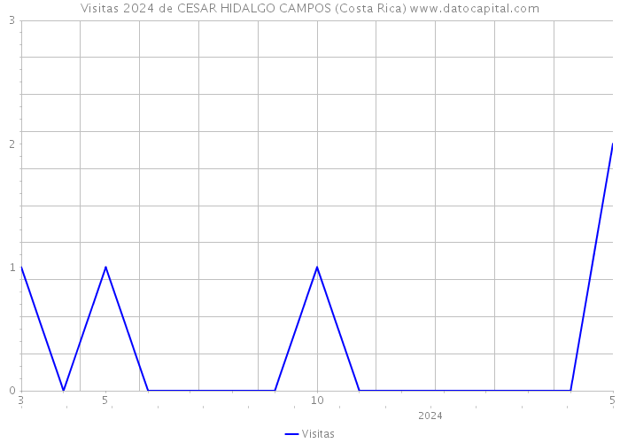 Visitas 2024 de CESAR HIDALGO CAMPOS (Costa Rica) 