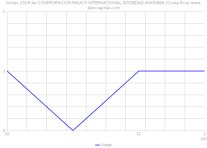 Visitas 2024 de COORPORACION RAUCO INTERNACIONAL SOCIEDAD ANONIMA (Costa Rica) 