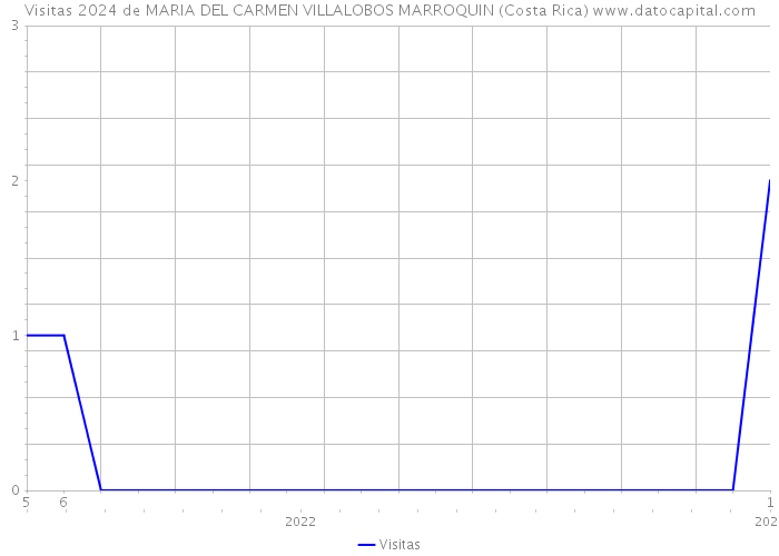Visitas 2024 de MARIA DEL CARMEN VILLALOBOS MARROQUIN (Costa Rica) 