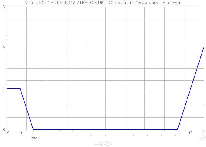 Visitas 2024 de PATRICIA ALFARO MURILLO (Costa Rica) 