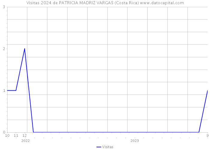 Visitas 2024 de PATRICIA MADRIZ VARGAS (Costa Rica) 