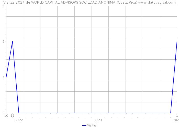 Visitas 2024 de WORLD CAPITAL ADVISORS SOCIEDAD ANONIMA (Costa Rica) 