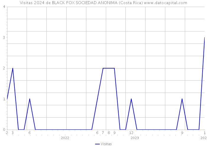 Visitas 2024 de BLACK FOX SOCIEDAD ANONIMA (Costa Rica) 