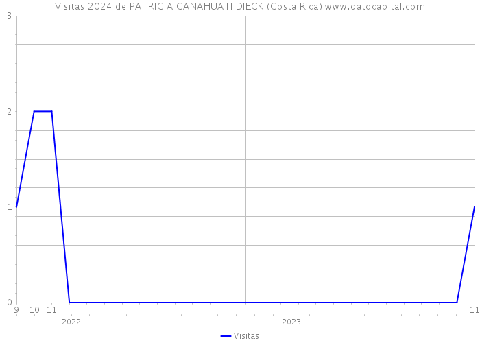 Visitas 2024 de PATRICIA CANAHUATI DIECK (Costa Rica) 