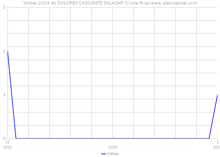 Visitas 2024 de DOLORES CASCANTE SALAZAR (Costa Rica) 
