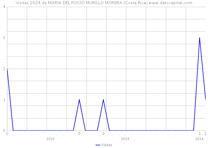 Visitas 2024 de MARIA DEL ROCIO MURILLO MORERA (Costa Rica) 