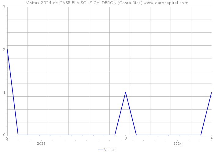 Visitas 2024 de GABRIELA SOLIS CALDERON (Costa Rica) 