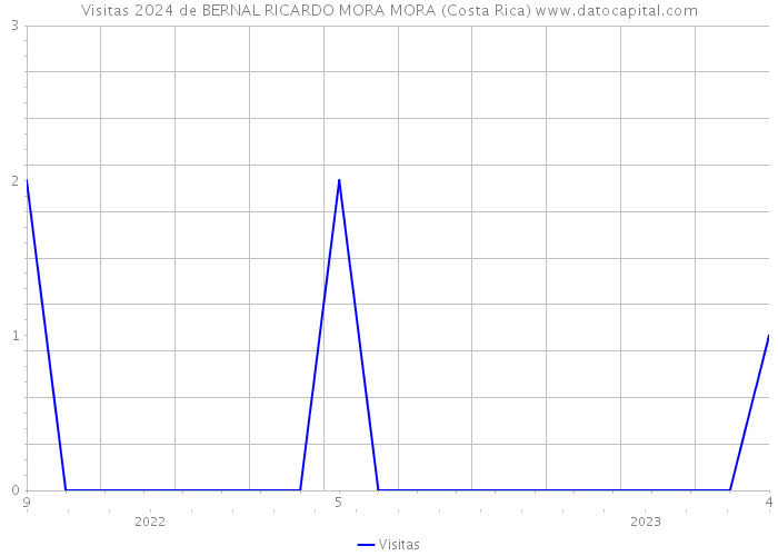 Visitas 2024 de BERNAL RICARDO MORA MORA (Costa Rica) 