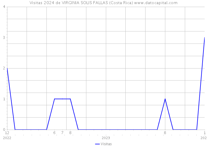 Visitas 2024 de VIRGINIA SOLIS FALLAS (Costa Rica) 