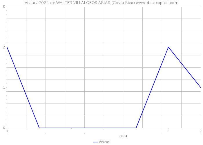 Visitas 2024 de WALTER VILLALOBOS ARIAS (Costa Rica) 