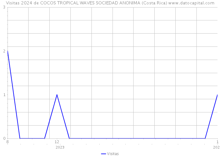 Visitas 2024 de COCOS TROPICAL WAVES SOCIEDAD ANONIMA (Costa Rica) 