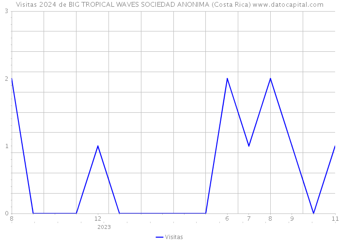 Visitas 2024 de BIG TROPICAL WAVES SOCIEDAD ANONIMA (Costa Rica) 