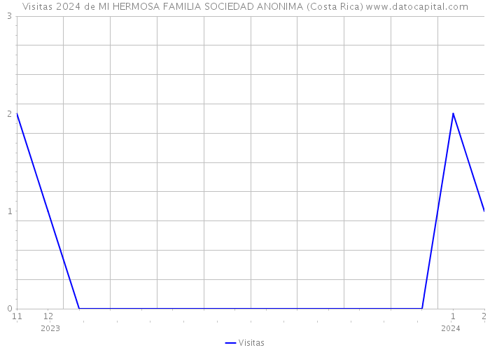 Visitas 2024 de MI HERMOSA FAMILIA SOCIEDAD ANONIMA (Costa Rica) 