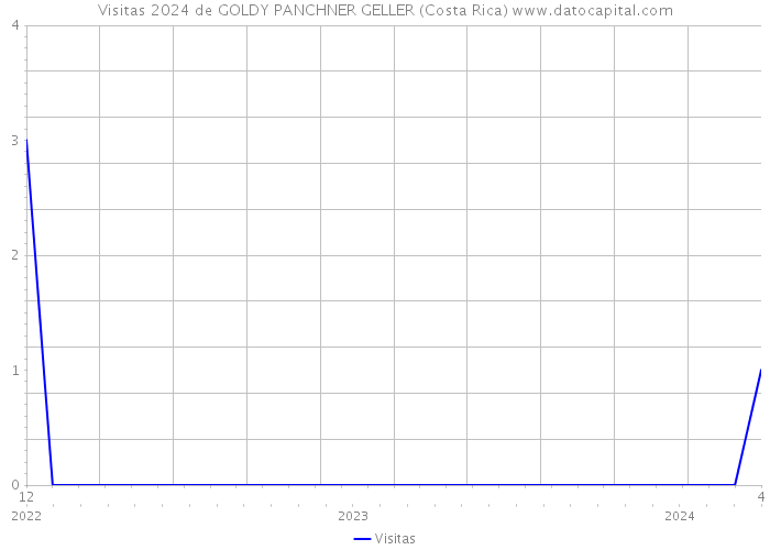 Visitas 2024 de GOLDY PANCHNER GELLER (Costa Rica) 