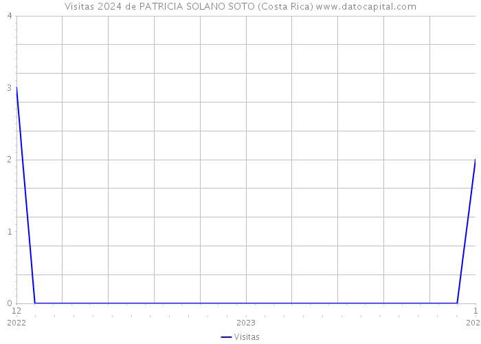 Visitas 2024 de PATRICIA SOLANO SOTO (Costa Rica) 