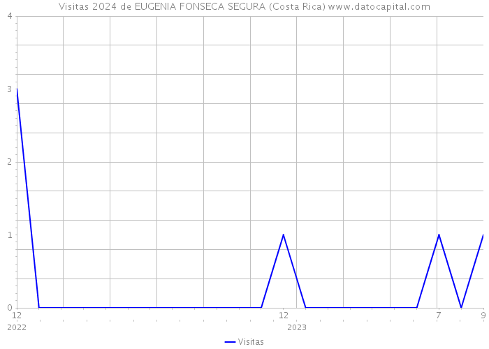 Visitas 2024 de EUGENIA FONSECA SEGURA (Costa Rica) 