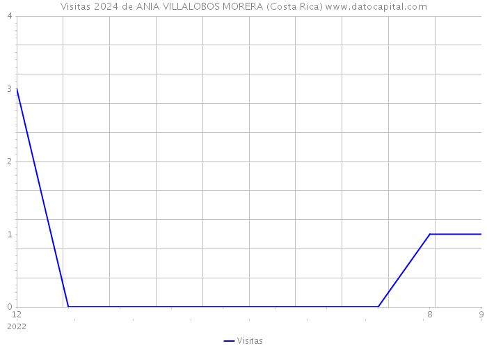 Visitas 2024 de ANIA VILLALOBOS MORERA (Costa Rica) 
