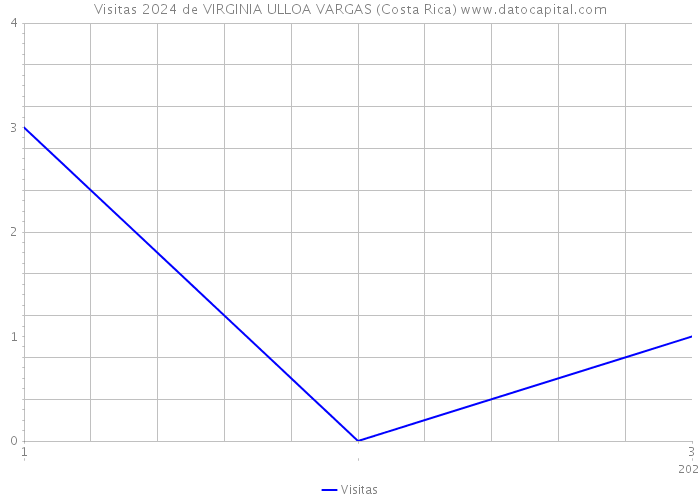 Visitas 2024 de VIRGINIA ULLOA VARGAS (Costa Rica) 
