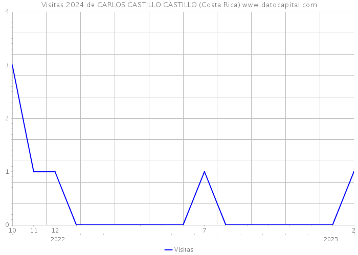 Visitas 2024 de CARLOS CASTILLO CASTILLO (Costa Rica) 