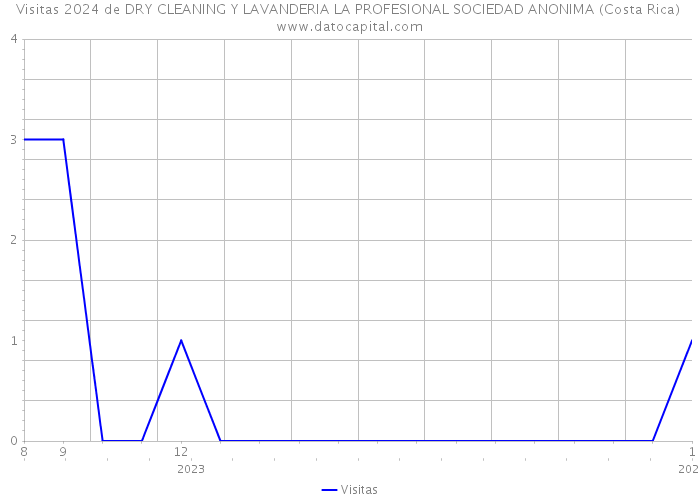 Visitas 2024 de DRY CLEANING Y LAVANDERIA LA PROFESIONAL SOCIEDAD ANONIMA (Costa Rica) 