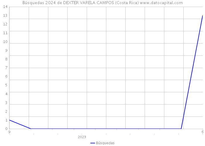 Búsquedas 2024 de DEXTER VARELA CAMPOS (Costa Rica) 