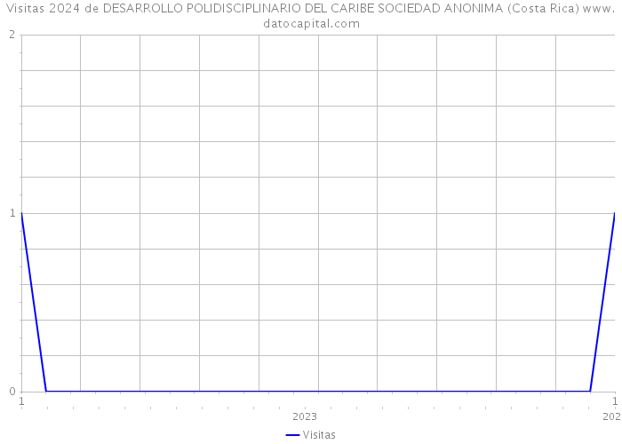 Visitas 2024 de DESARROLLO POLIDISCIPLINARIO DEL CARIBE SOCIEDAD ANONIMA (Costa Rica) 