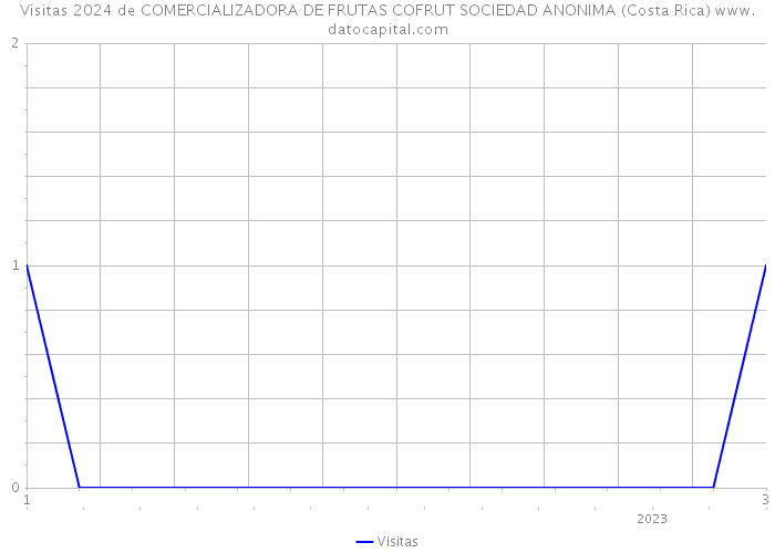 Visitas 2024 de COMERCIALIZADORA DE FRUTAS COFRUT SOCIEDAD ANONIMA (Costa Rica) 