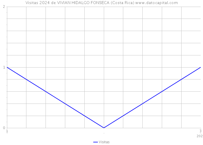Visitas 2024 de VIVIAN HIDALGO FONSECA (Costa Rica) 