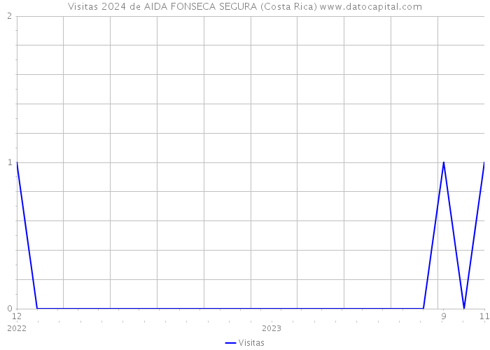 Visitas 2024 de AIDA FONSECA SEGURA (Costa Rica) 
