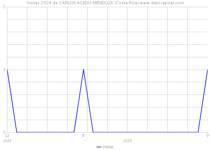 Visitas 2024 de CARLOS ACEDO MENDOZA (Costa Rica) 