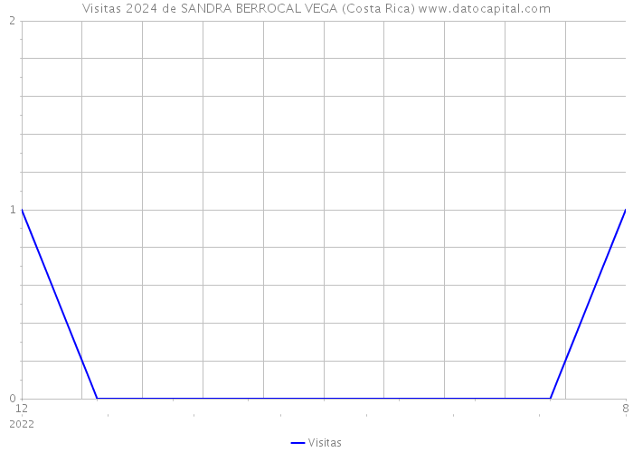 Visitas 2024 de SANDRA BERROCAL VEGA (Costa Rica) 