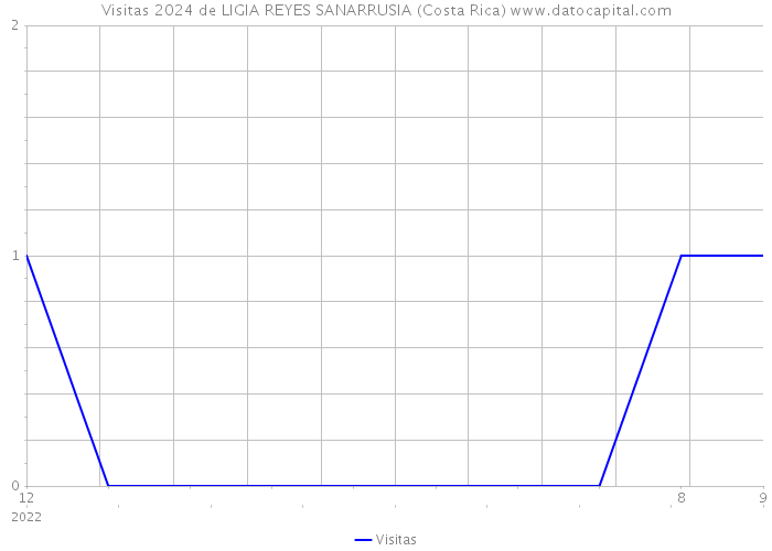 Visitas 2024 de LIGIA REYES SANARRUSIA (Costa Rica) 
