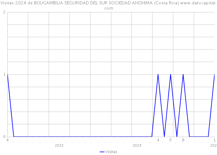 Visitas 2024 de BOUGAMBILIA SEGURIDAD DEL SUR SOCIEDAD ANONIMA (Costa Rica) 
