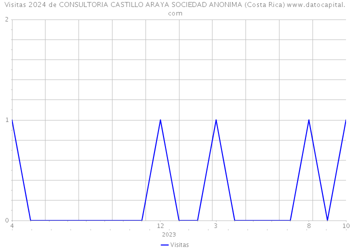 Visitas 2024 de CONSULTORIA CASTILLO ARAYA SOCIEDAD ANONIMA (Costa Rica) 