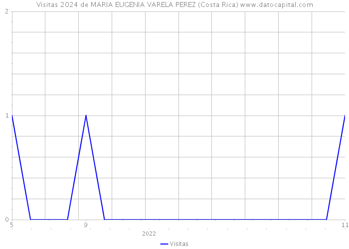 Visitas 2024 de MARIA EUGENIA VARELA PEREZ (Costa Rica) 