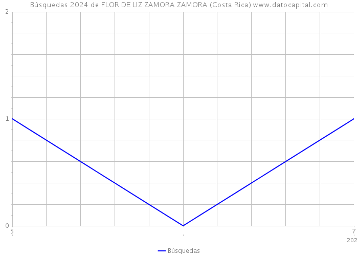 Búsquedas 2024 de FLOR DE LIZ ZAMORA ZAMORA (Costa Rica) 