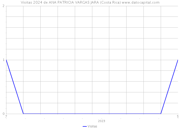 Visitas 2024 de ANA PATRICIA VARGAS JARA (Costa Rica) 