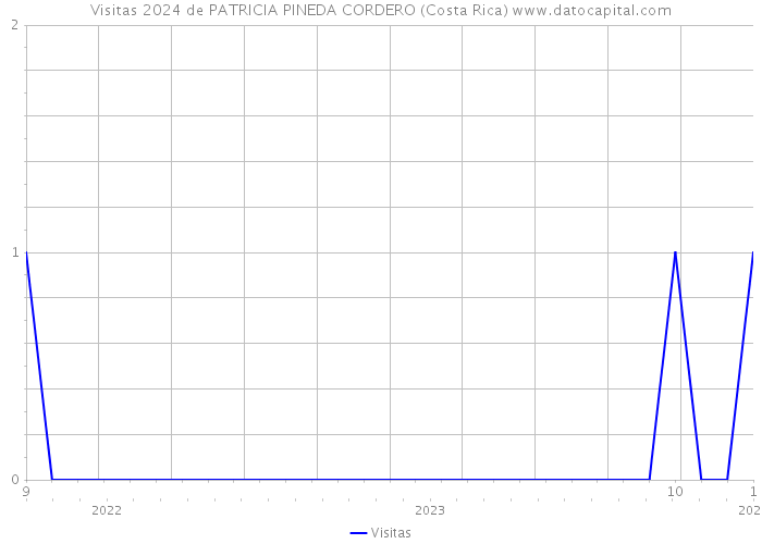 Visitas 2024 de PATRICIA PINEDA CORDERO (Costa Rica) 