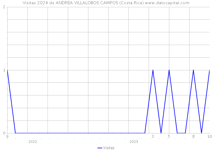 Visitas 2024 de ANDREA VILLALOBOS CAMPOS (Costa Rica) 