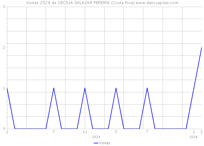 Visitas 2024 de CECILIA SALAZAR PEREIRA (Costa Rica) 
