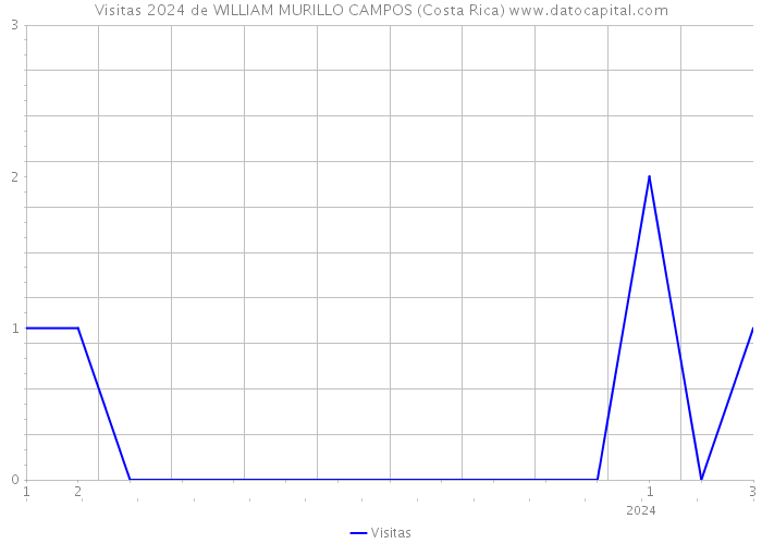 Visitas 2024 de WILLIAM MURILLO CAMPOS (Costa Rica) 