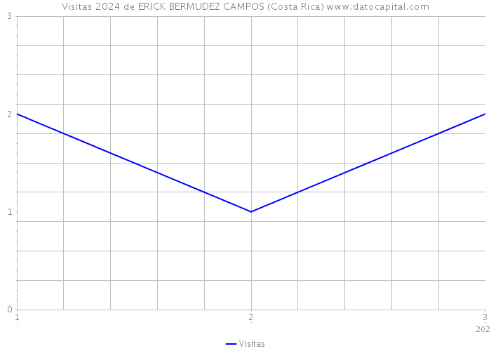 Visitas 2024 de ERICK BERMUDEZ CAMPOS (Costa Rica) 