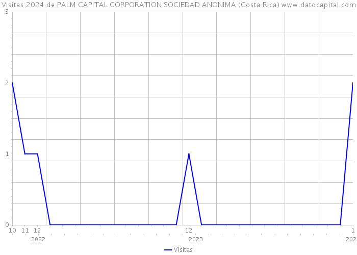 Visitas 2024 de PALM CAPITAL CORPORATION SOCIEDAD ANONIMA (Costa Rica) 