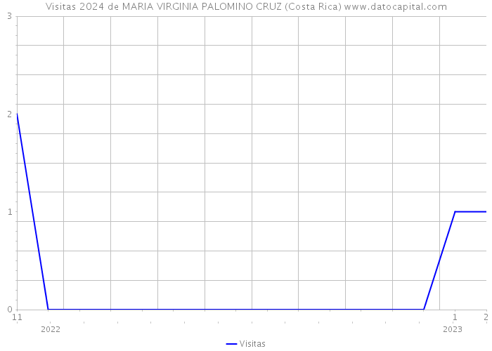 Visitas 2024 de MARIA VIRGINIA PALOMINO CRUZ (Costa Rica) 