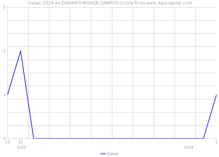 Visitas 2024 de DAMARIS MONGE CAMPOS (Costa Rica) 